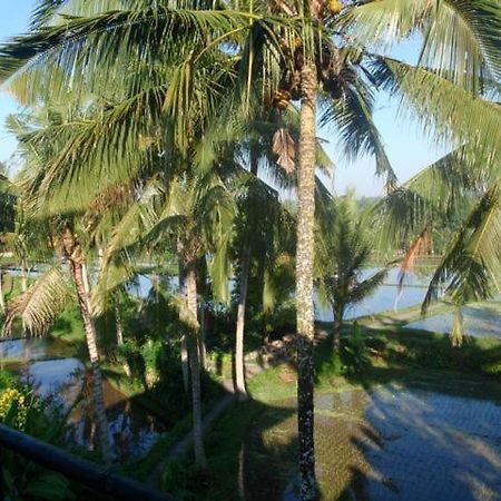 Toko Toko Bungalows Ubud Eksteriør billede