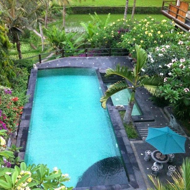 Toko Toko Bungalows Ubud Eksteriør billede